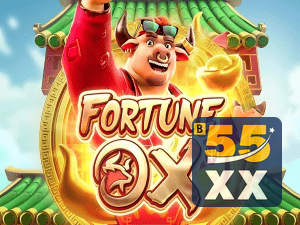 55XX login — painel de entrada no app oficial