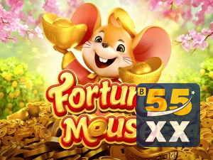 55XX login — configurações de segurança e proteção de conta